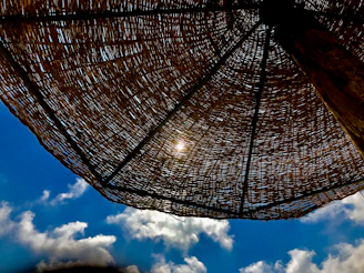 A vibrant umbrella casting a cool shade over a picnic blanket on a sunny day.