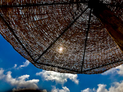 A vibrant umbrella casting a cool shade over a picnic blanket on a sunny day.