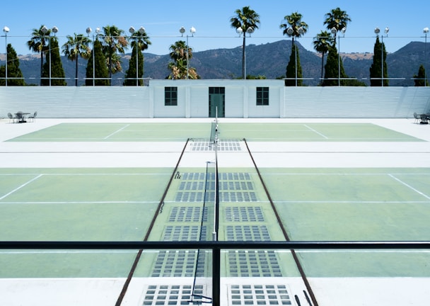 Paddle tennis court surrounded by palm trees under a clear blue sky.