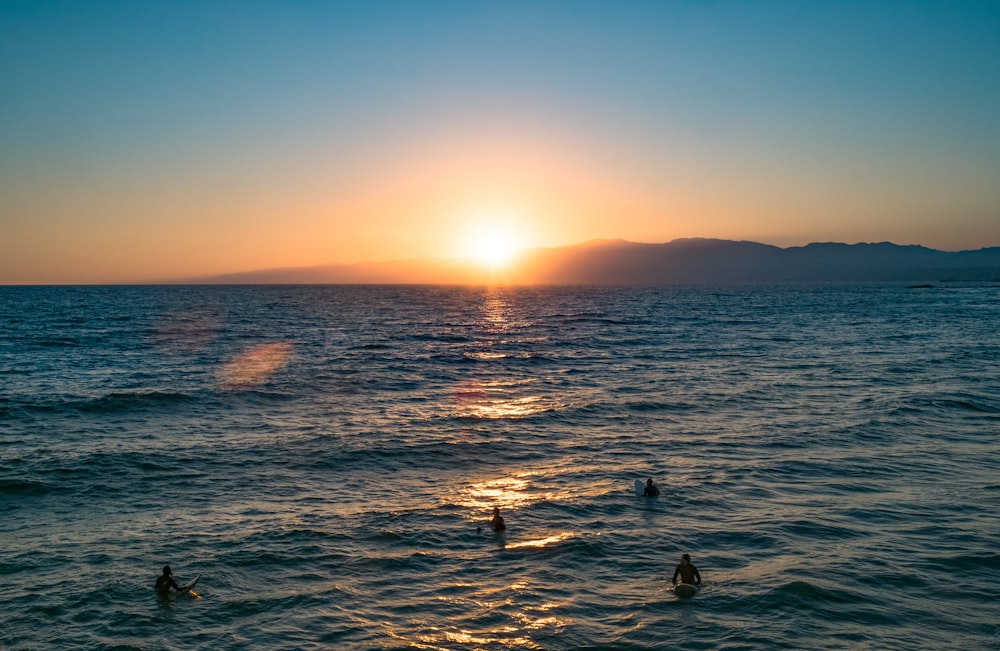 silhouette of 2 birds on body of water during sunset