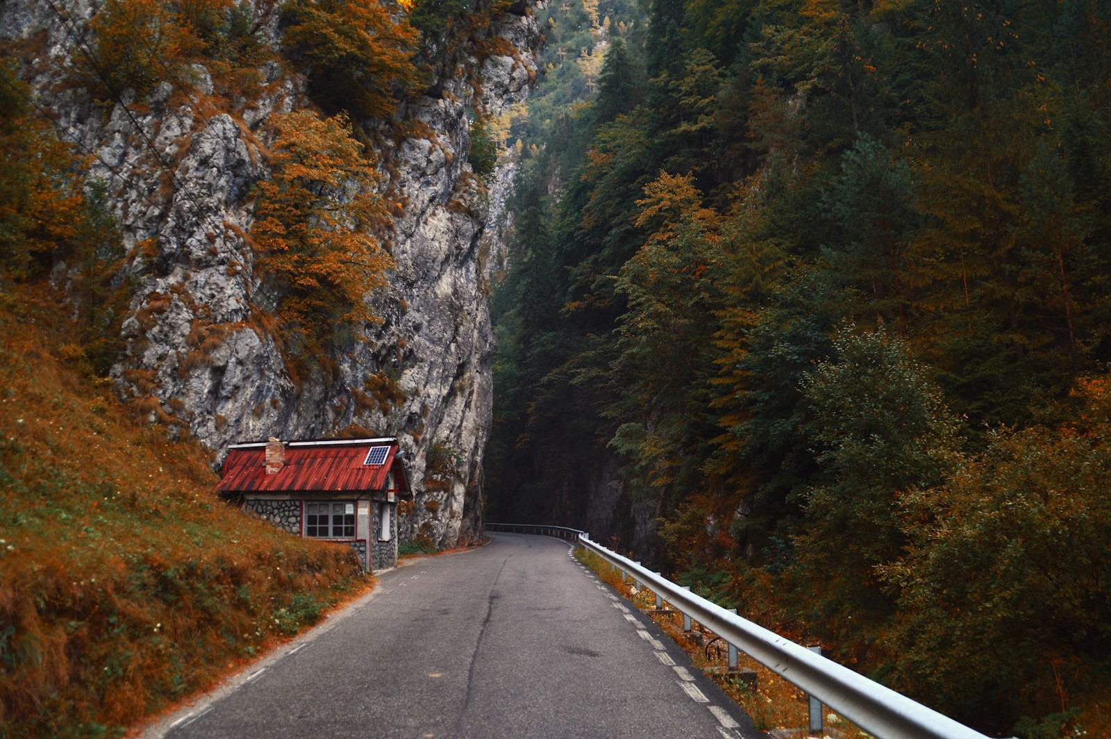 Nikon D3200 + Tamron AF 18-200mm F3.5-6.3 XR Di II LD Aspherical (IF) Macro sample photo. Gray asphalt road in photography