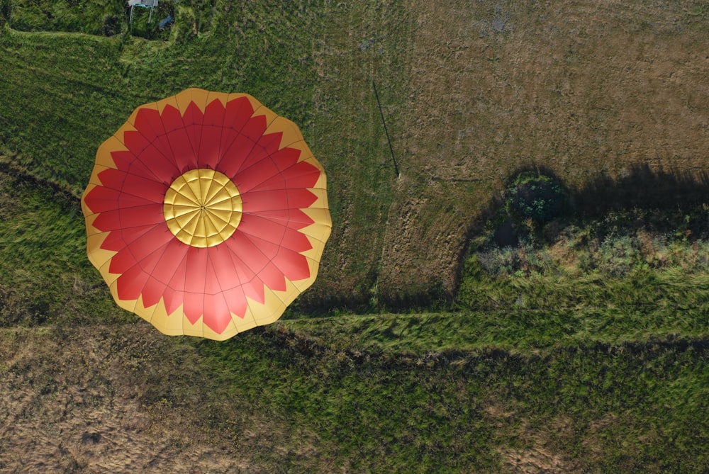 空中を飛ぶ熱気球の航空写真