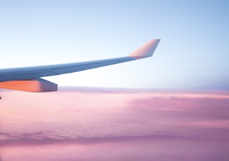 aerial view of airplane wing