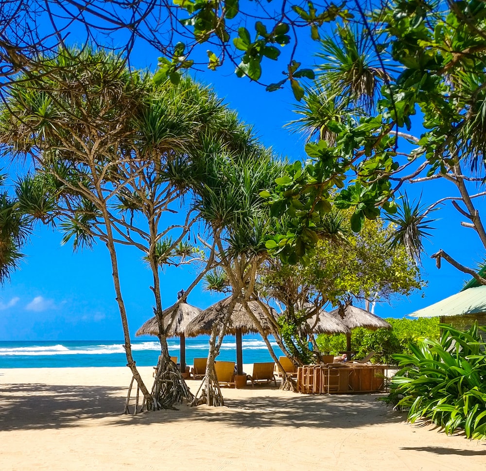 four huts at beach under blue skies during daytime