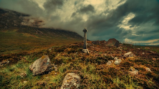 green grass field during daytime in West Highland Way United Kingdom