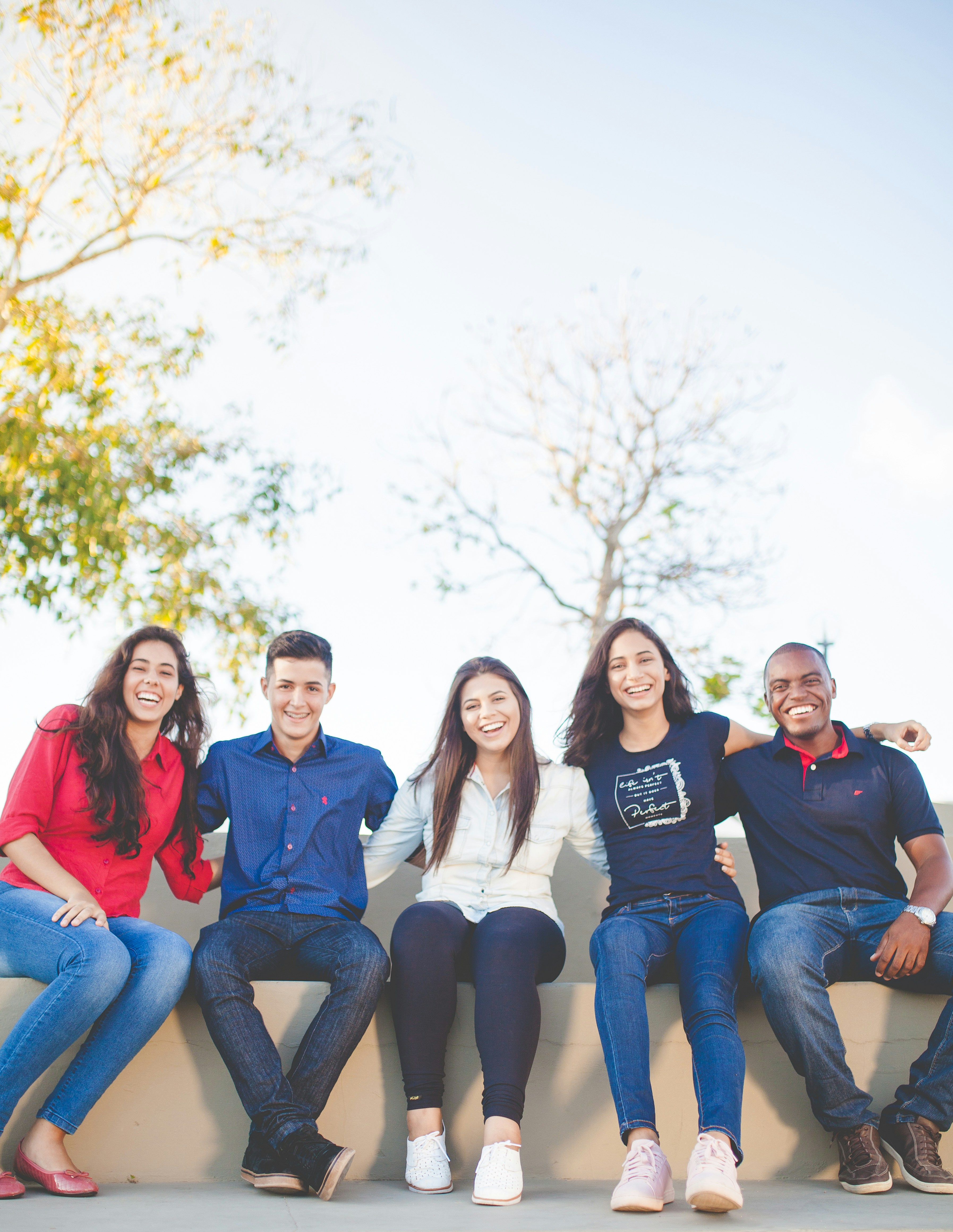 group of people sitting on bench near trees during daytime