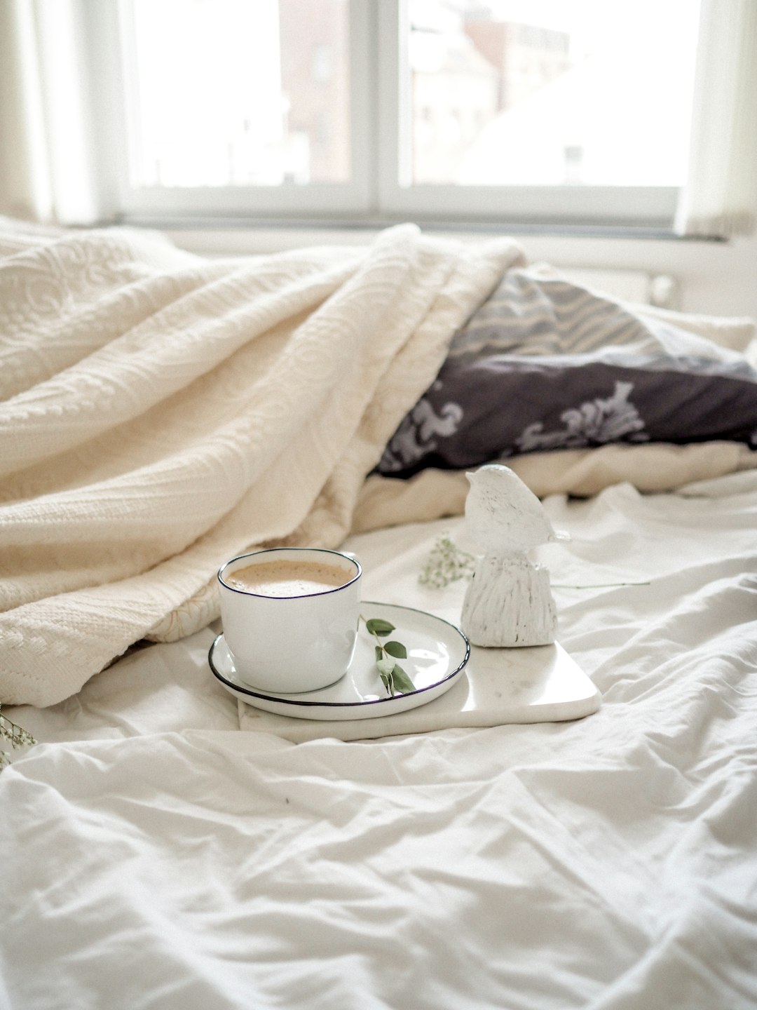  teacup filled with liquid placed on saucer single bed