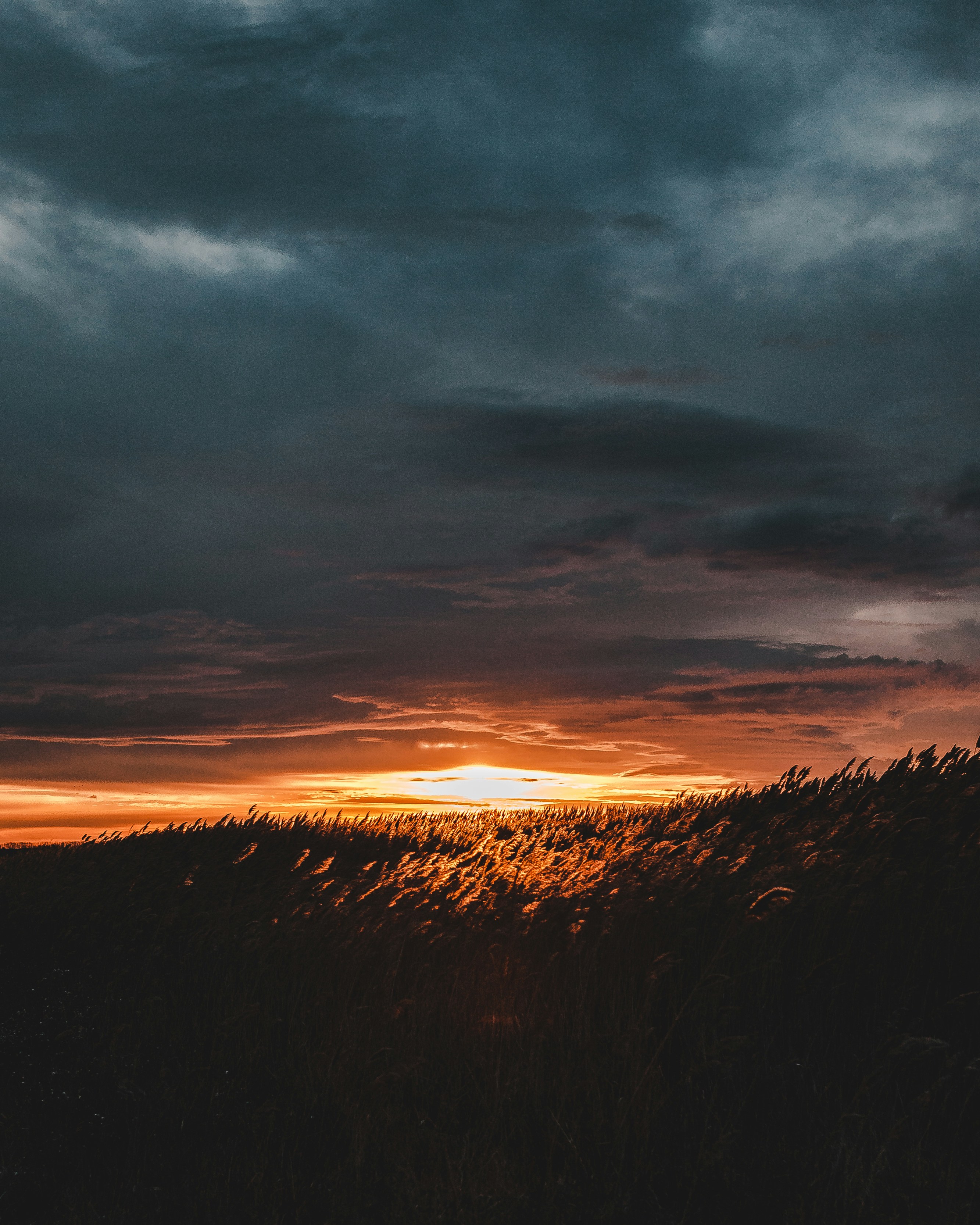 Golden Hour photo by Florian van Duyn flovayn on Unsplash