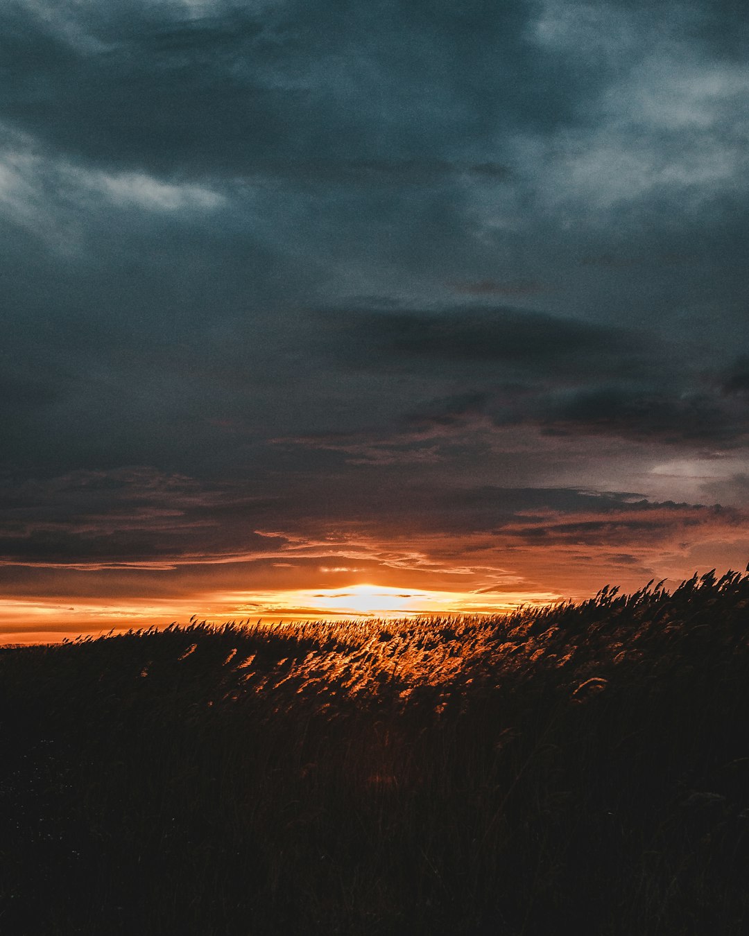 travelers stories about Natural landscape in Velence, Hungary