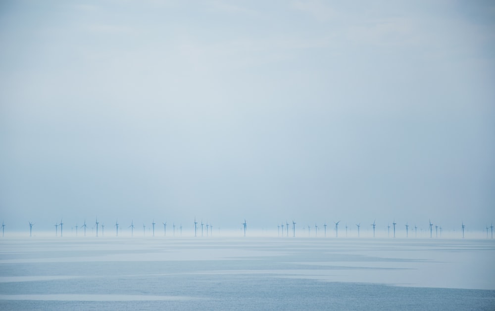 Ein großes Gewässer mit einem Haufen Windmühlen in der Ferne