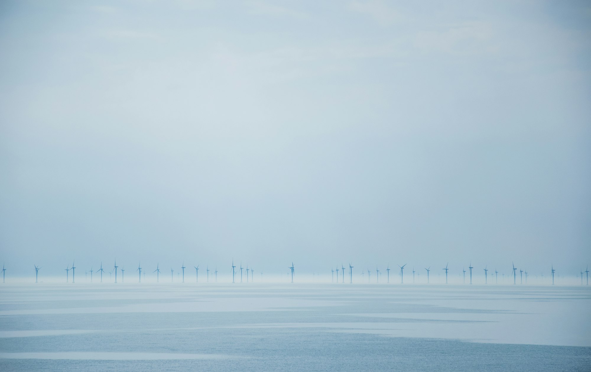 a large body of water with a bunch of windmills in the distance