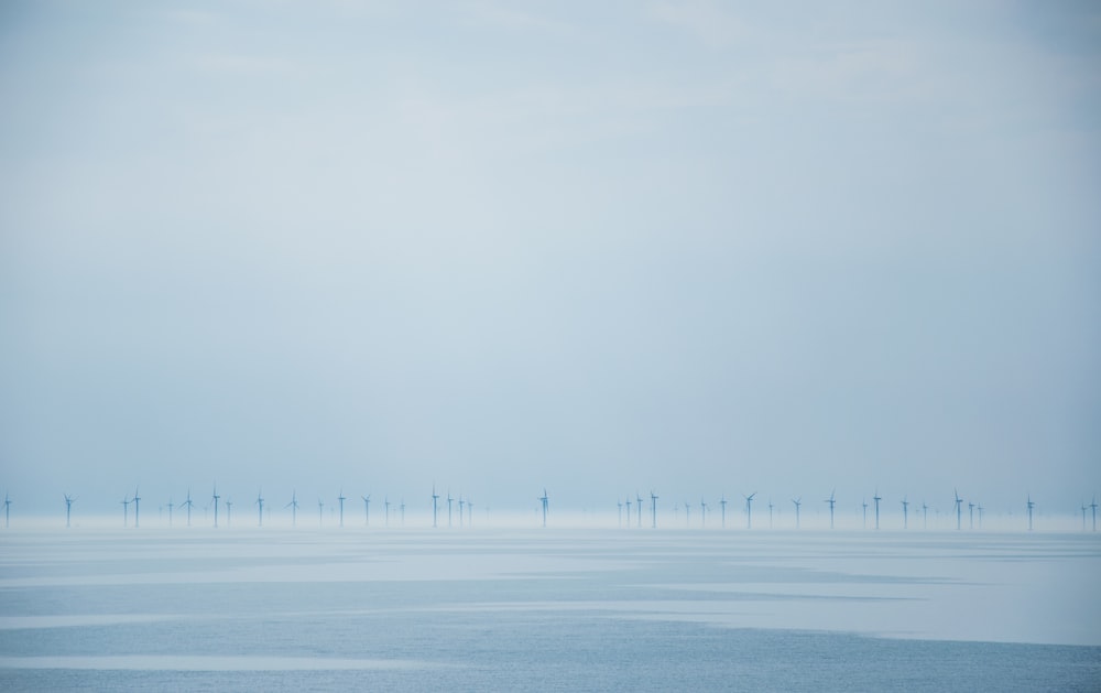 a large body of water with a bunch of windmills in the distance