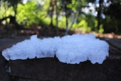 A block of ice rests on a dark stone surface, partially melted around the edges. The background features a blurred natural setting with green foliage and sunlight filtering through the leaves, casting dappled shadows.