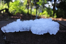 A block of ice rests on a dark stone surface, partially melted around the edges. The background features a blurred natural setting with green foliage and sunlight filtering through the leaves, casting dappled shadows.
