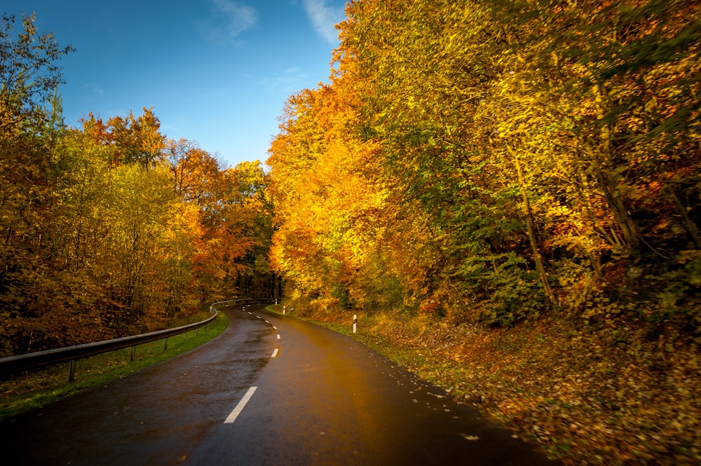 landscape photo of road