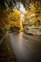 curved pathway near cliffs