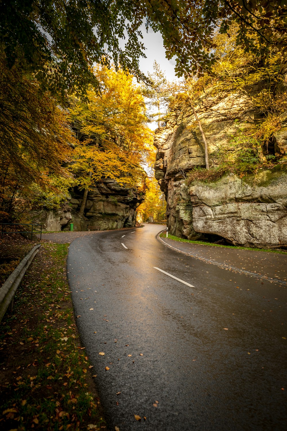 curved pathway near cliffs