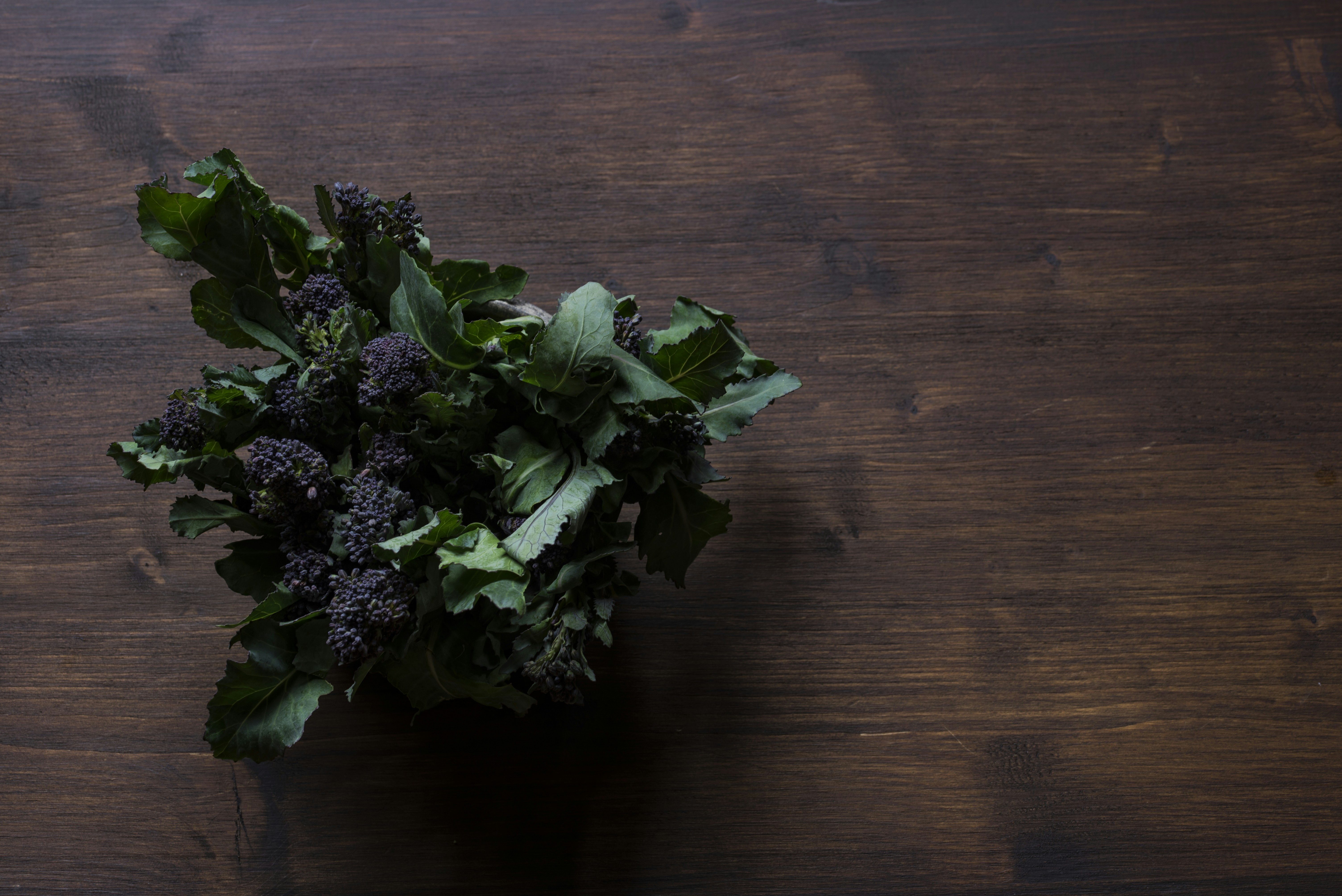 Four Lessons You May Be Able To Learn From Bing About About Health Tips