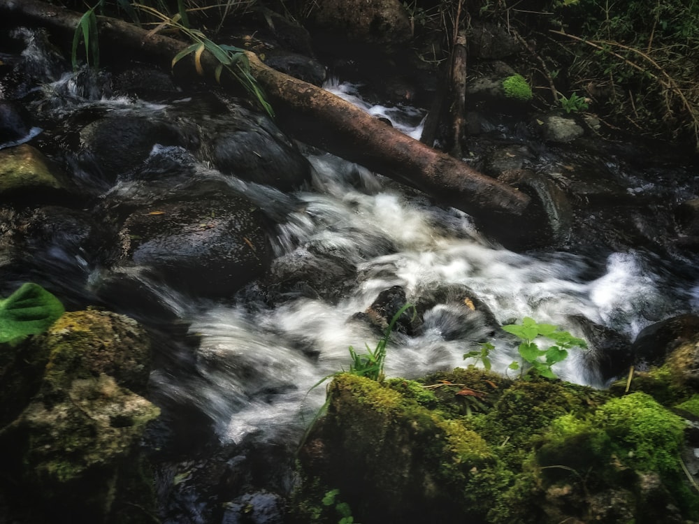 time-lapse photography of flowing water