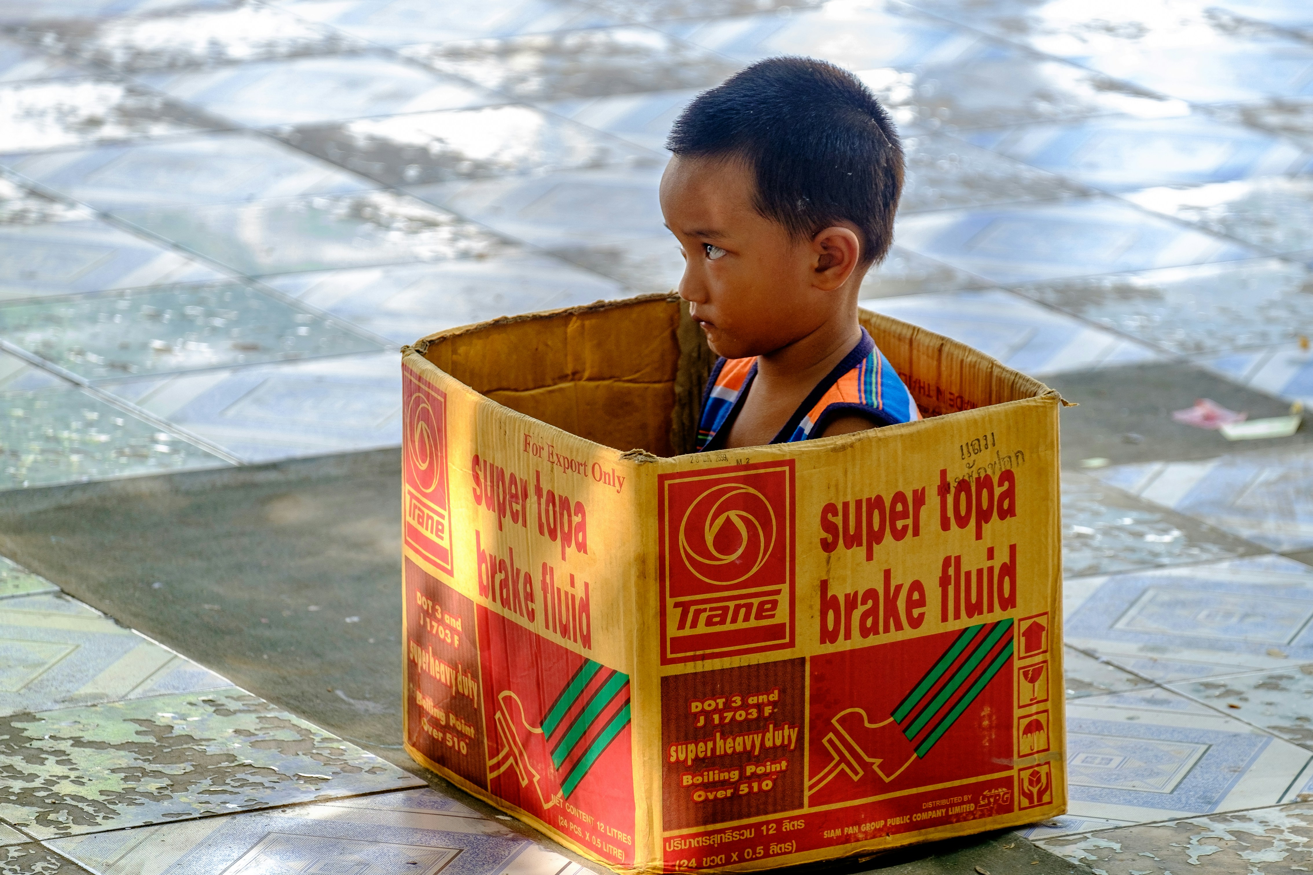 business in a box review