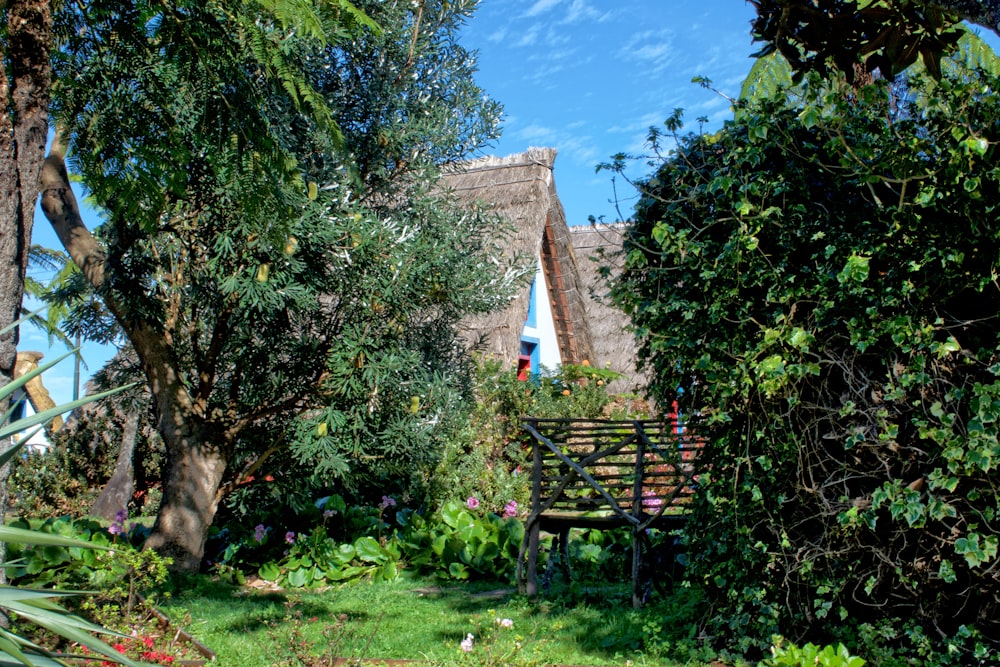 maison à côté d’arbres et jardin