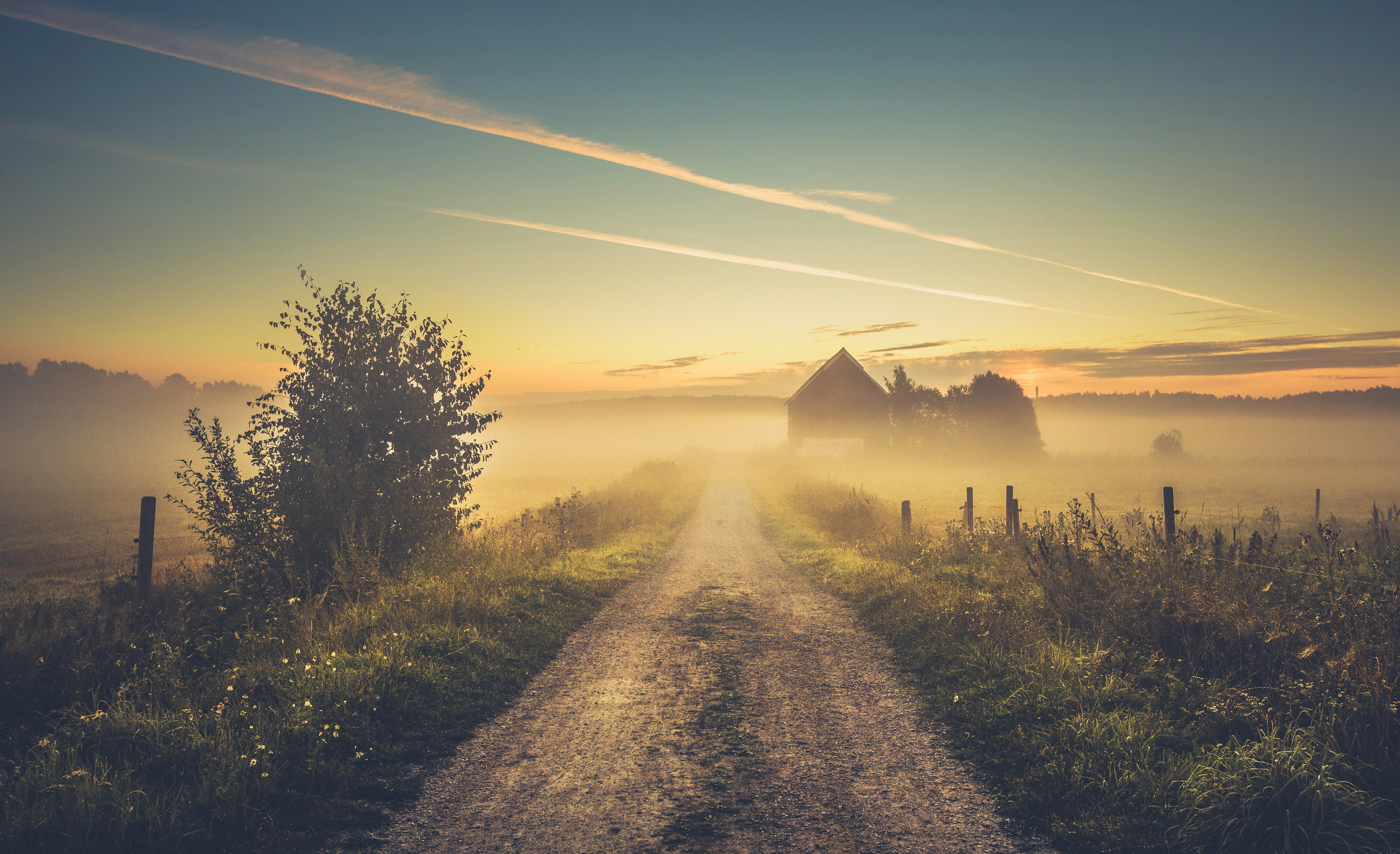 photo of gray road near grasses