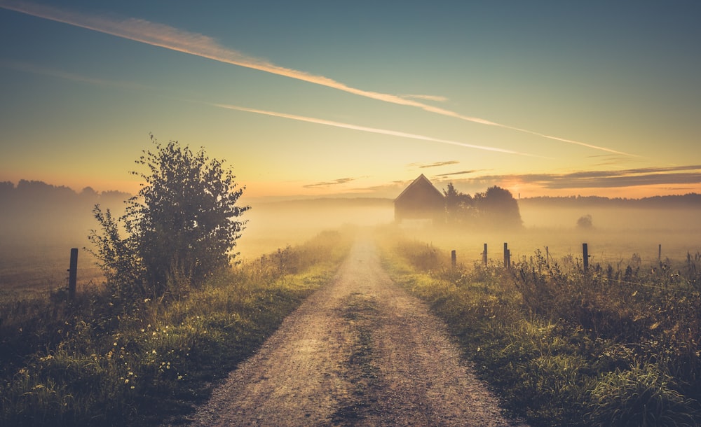 photo of gray road near grasses