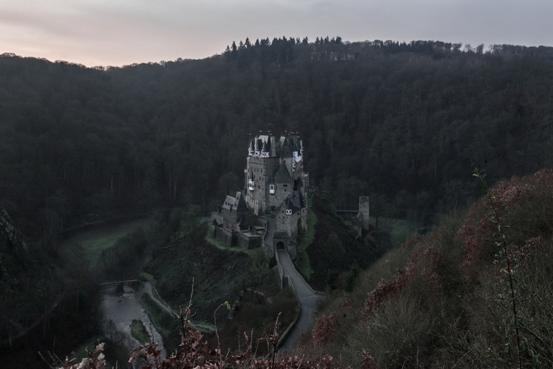 Forest photo spot Eltz Castle Morsbach