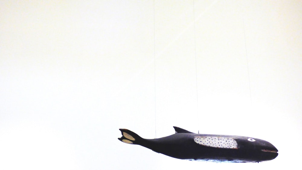 Photo de jouet de baleine noire