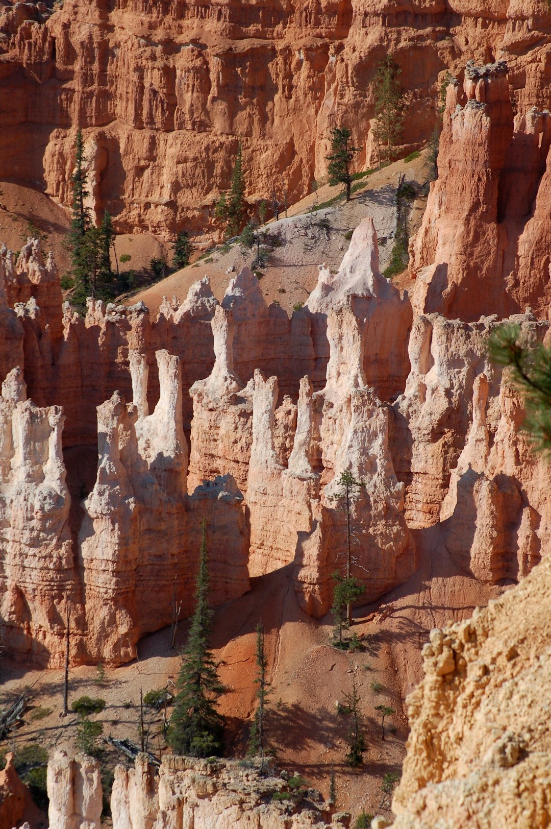 Canyon photo spot Bryce Canyon National Park Horseshoe Bend