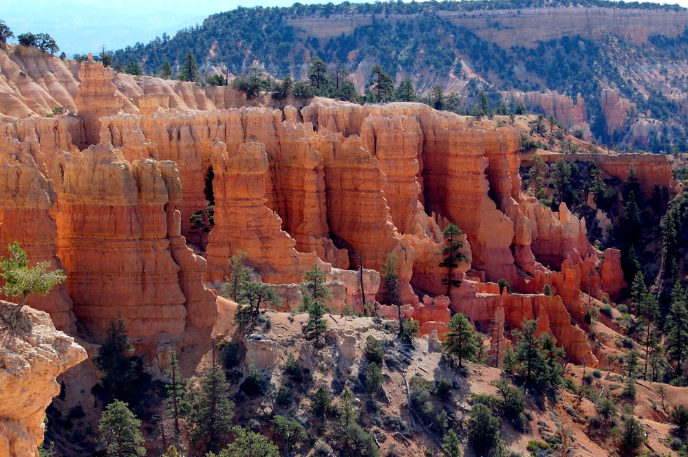 rock formations near green leafed trees