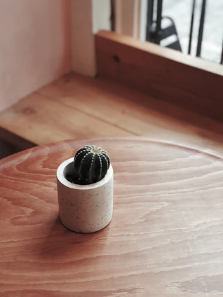 A modern minimalist concrete pot holding a small cactus on a sunny windowsill