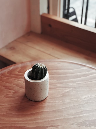 A sleek modern ceramic pot in matte white holding a small cactus, resting on a bright windowsill.