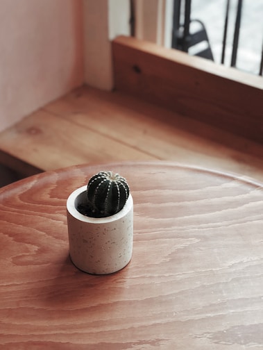 A sleek modern ceramic pot in matte white holding a small cactus, resting on a bright windowsill.