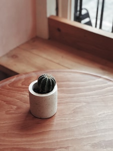 Cactus minimaliste