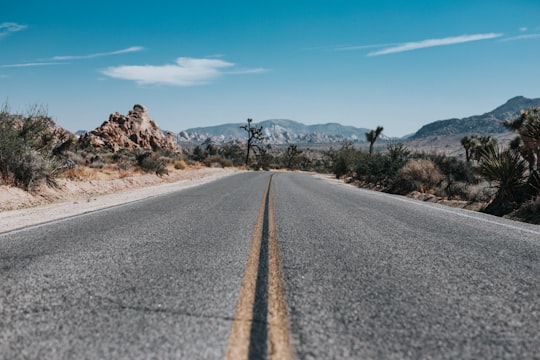 gray asphalt road during daytime in Joshua Tree United States