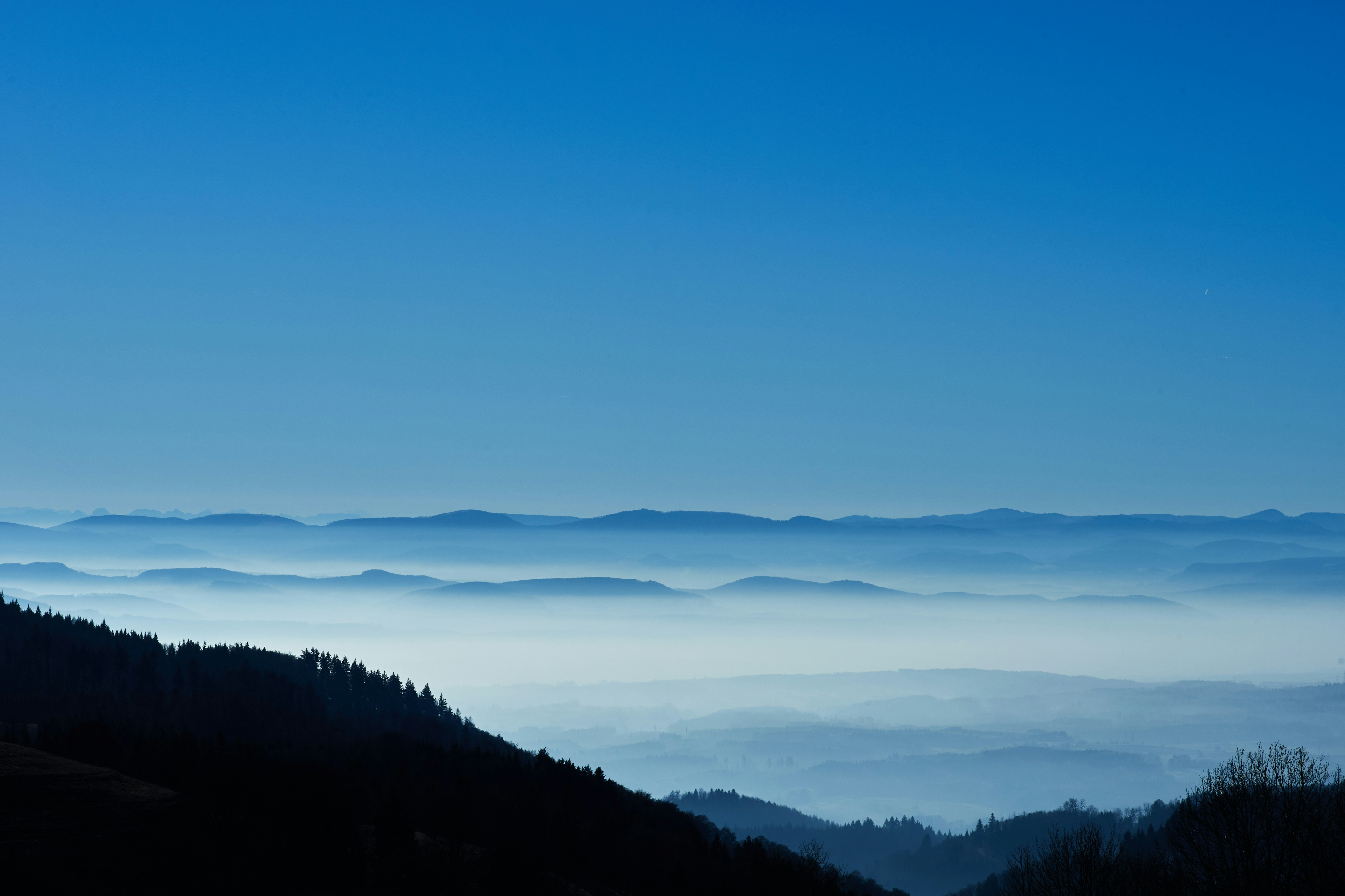 Photo by wolfgang_hasselmann