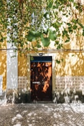 closed door and yellow painted wall