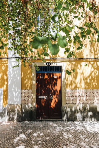 closed door and yellow painted wall