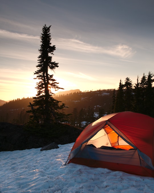 orange dome tent near trees during sunrise in Strathcona Provincial Park Canada