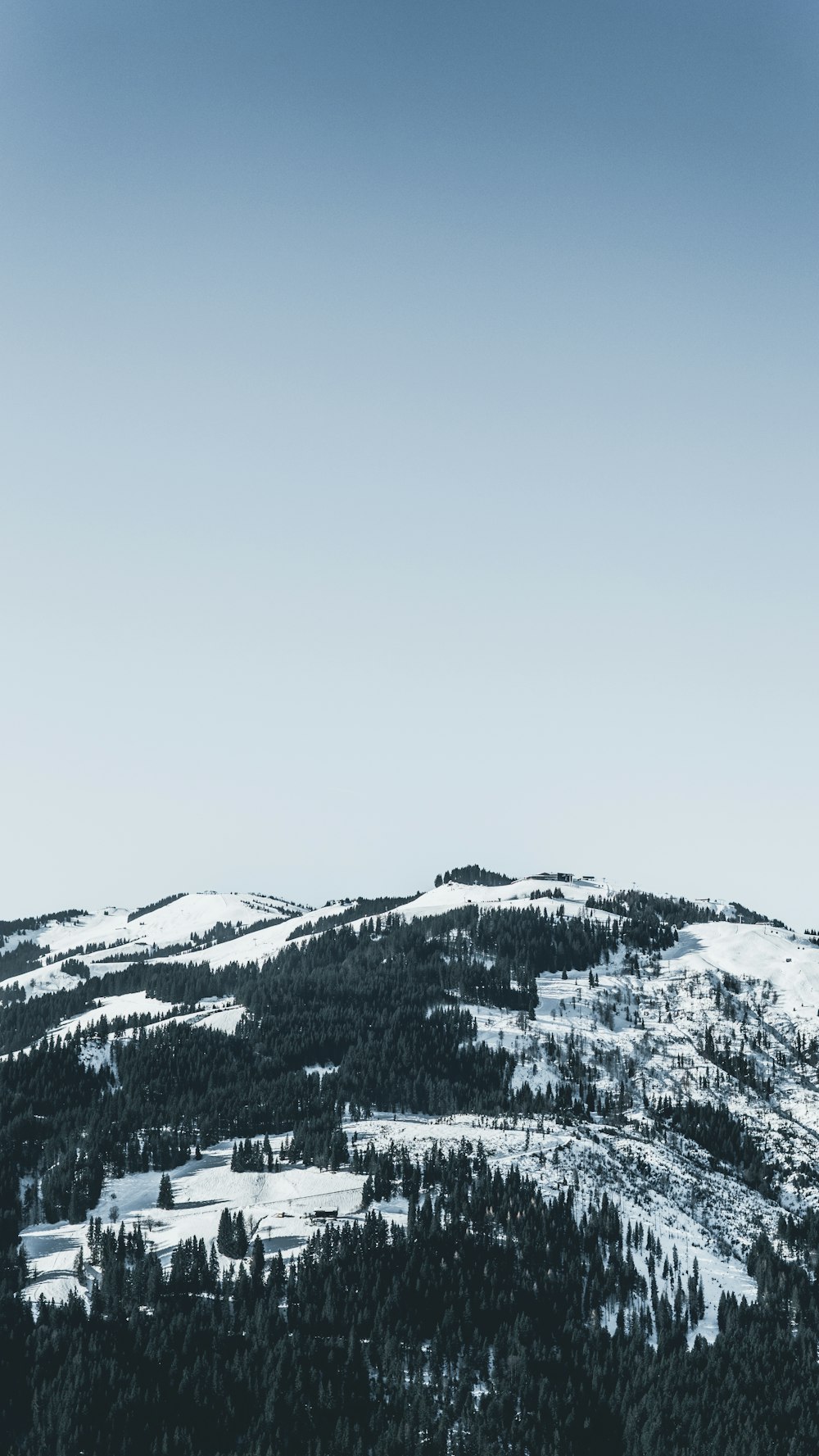 snow covered mountain with trees under blue skies