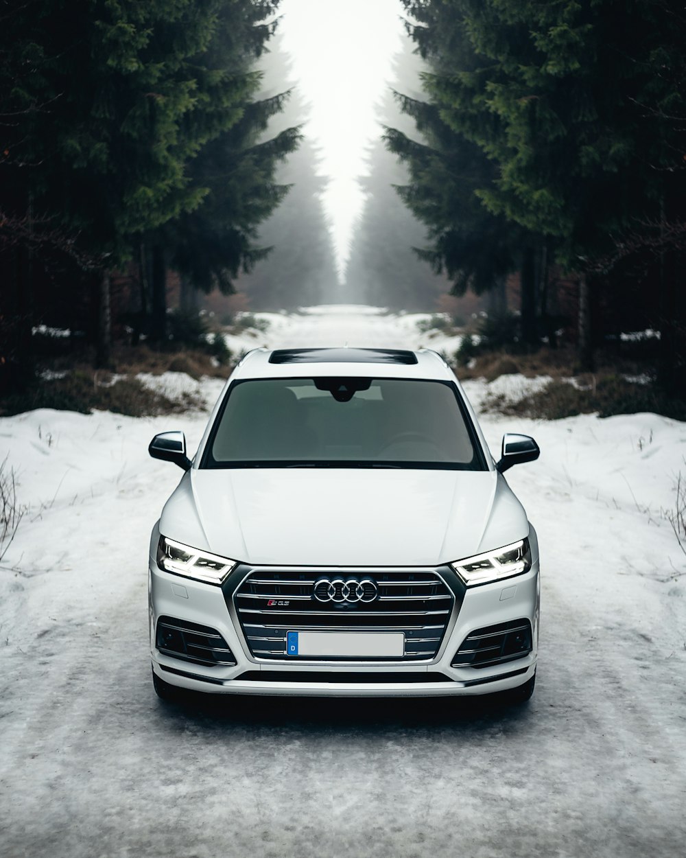 white Audi A8 on the road surrounded of trees