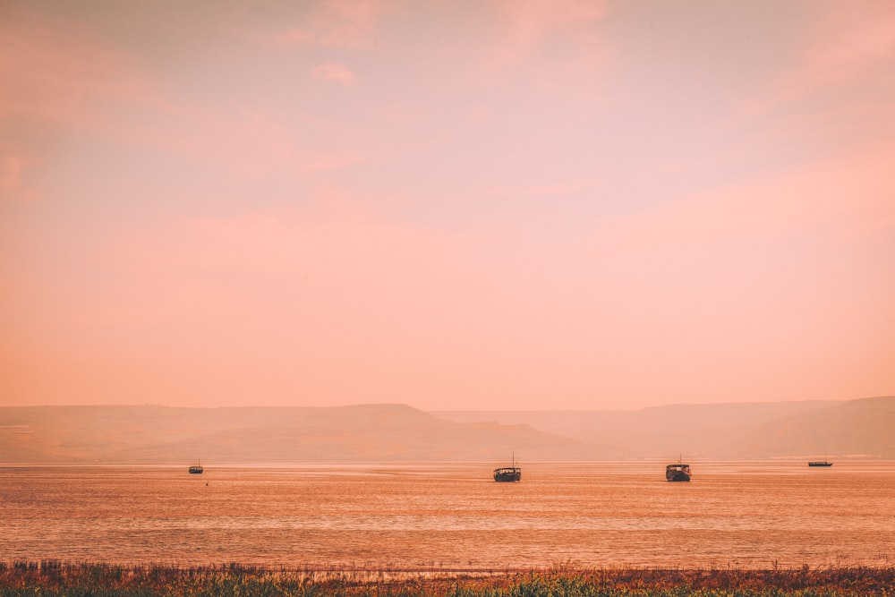 farm with vehicles during golden hour