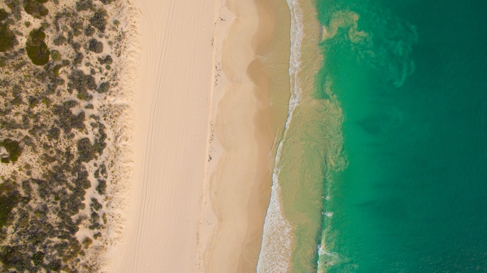 aerial view of seashore