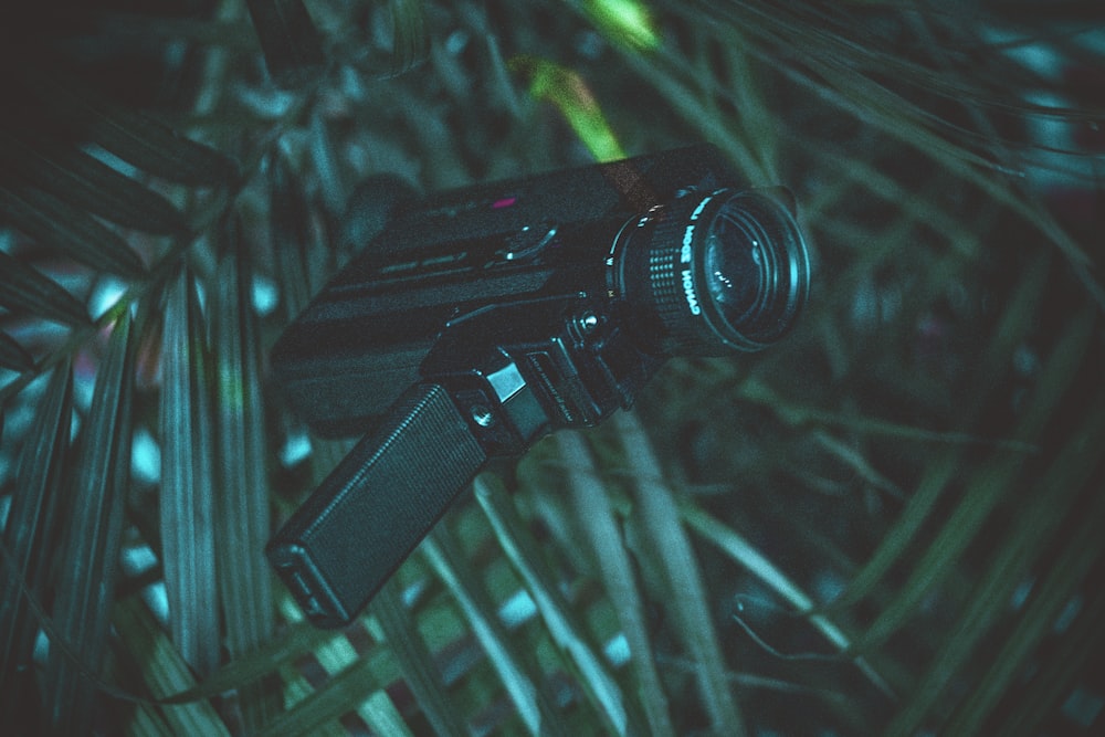 black handycam on green leaf
