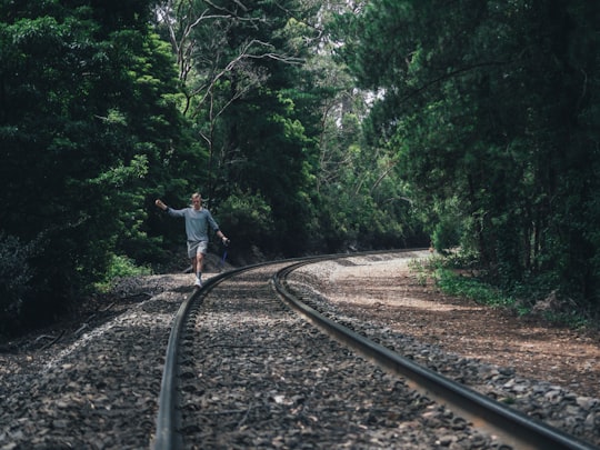 person walking through train rails between forest during daytime in Stirling Australia
