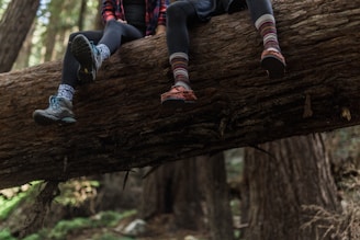 two person sitting on brown tree trunk