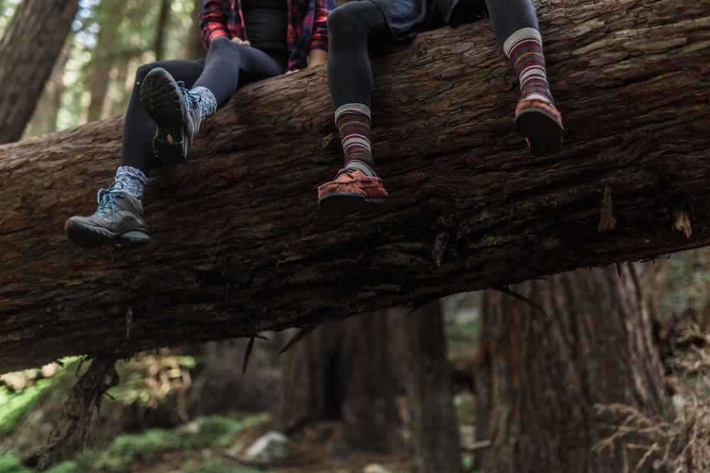 two person sitting on brown tree trunk