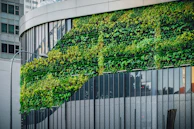 A beautifully designed vertical garden on the exterior wall of a modern office building.