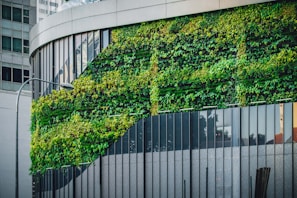 A lush vertical garden climbing the facade of a modern office building, blending greenery with sleek architecture